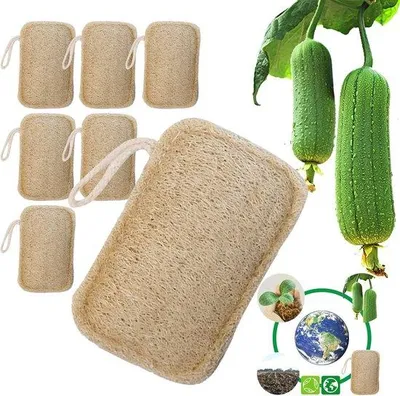 Produktbild von Sechs Stück biologischer Luffa-Schwamm, Scrub, biologisch abbaubar und kompostierbar, für Küche, Bad und Camping