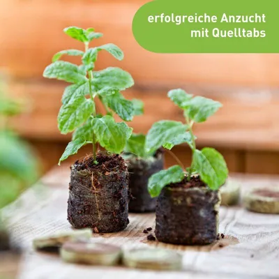 Produktbild von Windhager Anzucht-Quelltabs Kokos torffrei mit Vliesmantel für bessere Wurzelbildung, beschleunigte Keimung