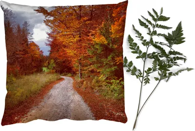 Produktbild von MuchoWow® Zierkissen Sofakissen Wohnzimmer Dekokissen 50x50 cm Herbst - Herbstblätter - Weg - Wald - Komfort - Sofakissen