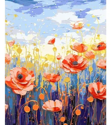 Productafbeelding van Schilderen op nummer: Papaver, 40x50 cm