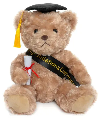 Productafbeelding van Afstudeer Teddybeer Pluche 30 cm met Diploma