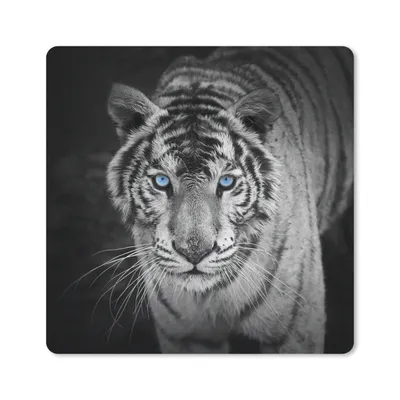 Produktbild von MuchoWow® Mauspad Mousepad Tiere - Tiger - Schwarz und weiß - Augen - Blau 20x20 cm - Mousepads - Maus Mat - Pad - Mausunterlage - Desk Mat - Bureauartikeln
