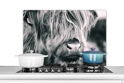 Obrázek produktu pro KitchenYeah® Kitchen splashback - Kuchyňský splashback - Ochrana stěny sporáku a dřezu - Skotský náhorní skot - Kráva - Černá - Bílá 80x55 - Alu-Dibond (alternativa ke skleněnému splashbacku) - Heatb