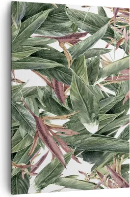 Produktbild von Bild auf Leinwand - Leinwandbild - Einteilig - Pflanze Blatt Blume - 70x100cm - Wand Bild - Wanddeko - Wandbilder - Leinwanddruck - Wanddekoration - Leinwand bilder - Wandbild - PA70x100-3844