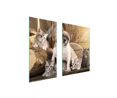Produktbild von Herdabdeckplatten 2 teilig 75x52 Glaskeramikkochfeld Abdeckung Glas Schneidebrett Katze Hund