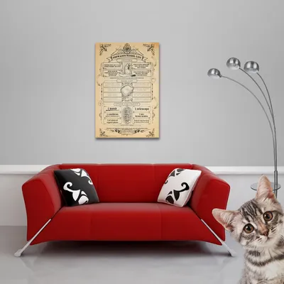 Image de Harry Potter - Poster - Liste de Poudlard + 1 Ü-Poster taille 61x91,5cm