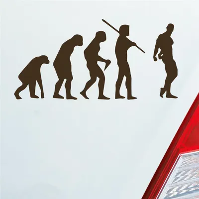 Produktbild von Auto Aufkleber Evolution Fitness Sport Bodybuilding 15x7,5 cm Braun Sticker Heckscheibenaufkleber