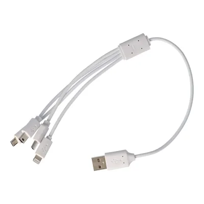 Produktbild von USB-Ladekabel 4 in 1 passend für USB-C, Mini-USB, Micro-USB und 8 Pin Stecker
