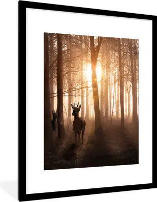 Produktbild von MuchoWow® Gerahmtes Poster Wald - Hirsche - Sonne - Bäume - Winter - Natur - Tiere 60x80 cm - Poster mit Schwarzem Bilderrahmen Wandposter Rahmen Foto Bilder - Wohnzimmer - Dekorationen - Prämie