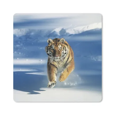 Produktbild von MuchoWow® Mauspad Mousepad Tiger - Schnee - Lauf 20x20 cm - Mousepads - Maus Mat - Pad - Mausunterlage - Desk Mat - Bureauartikeln