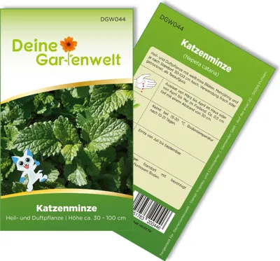 Katzenminze  Samen - Nepeta cataria - Katzenminzesamen - Kräutersamen - Saatgut für 500 Pflanzen