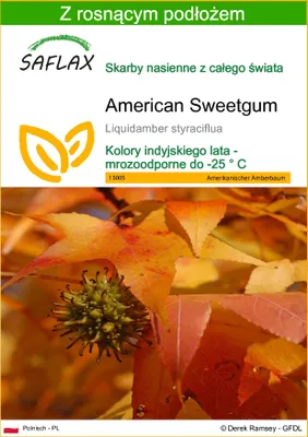 Zdjęcie produktu dla SAFLAX - American Sweetgum - 100 Nasiona - Z podłożem uprawowym wolnym od zarazków - Liquidamber styraciflua