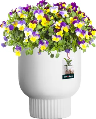 Immagine prodotto di KOTARBAU® Vaso da fiori in Vetroceramica ⌀ 12 cm Altezza: 16,5 cm Bianco Vaso da fiori Vaso da fiori in Vetroceramica Vaso da fiori in Vetroceramica Vaso da fiori in Vetroceramica per piante da interno Cachepot bianco