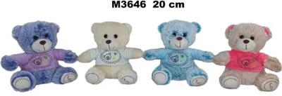 Image de Ourson 20 cm assis dans un pull Sa