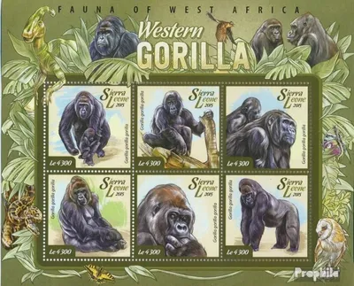 Produktbild von Briefmarken Sierra Leone 2015 Mi 6082-6087 Kleinbogen (kompl. Ausg.) postfrisch Gorillas