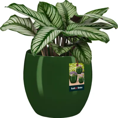 Produktbild von KOTARBAU® Kvetináč keramický okrúhly ⌀ 19 cm Výška: 20,5 cm Zelený kvetináč Keramický kvetináč na izbové rastliny Kvetináč moderný malý kvetináč Kvetináč keramický Keramický kvetináč na orchidey