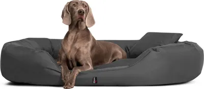 Produktbild von tierlando® Orthopädisches Hundebett SAMMY | Robuster Polyester | Dicke Umrandung - Größe: 140x105cm | Farbe: 02 Graphit