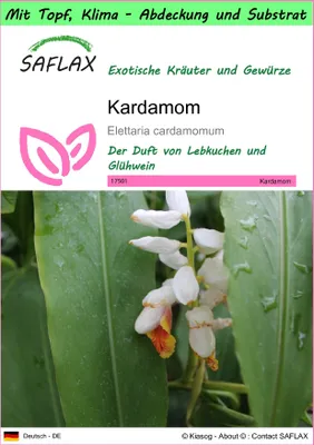 Produktbild von SAFLAX Garden to go - Kardamom - Elettaria cardamomum - 20 Samen - Mit Topf, Klima - Deckel und Anzuchtsubstrat