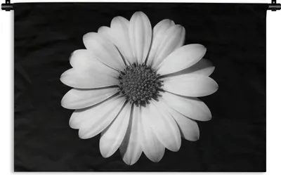 Produktbild von MuchoWow® Wandteppich Wandbehang Gänseblümchen - Schwarz - Weiß - Blume 120x80 cm Tapisserie Dekoration Wandtuch - Wanddekorationen - Wandtücher
