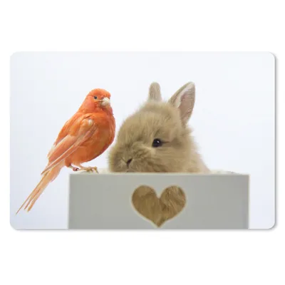 Produktbild von MuchoWow® Schreibtischunterlage Tiere - Kaninchen - Vogel 60x40 cm - XXL Mauspad - Großes Mauspad