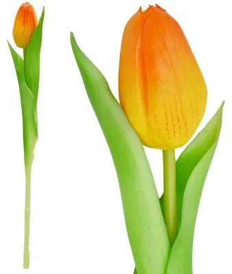 Zdjęcie produktu dla Sztuczny tulipan w kolorze pomarańczowym, silikonowy, realistyczny kwiat sztuczny, 31 cm, dekoracja wiosenna