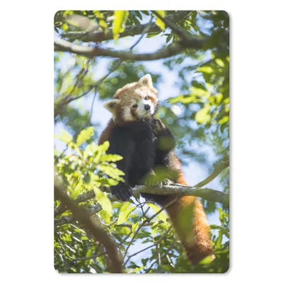 Produktbild von MuchoWow® Mauspad Mousepad Panda - Pflanzen - Baum 18x27 cm - Mousepads - Maus Mat - Pad - Mausunterlage