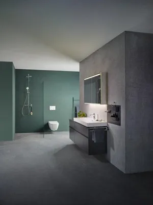 A modern bathroom with a green wall, a gray concrete wall, a toilet, a shower, and a vanity with a sink.