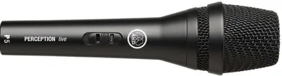 Immagine prodotto di AKG P5 S dal vivo