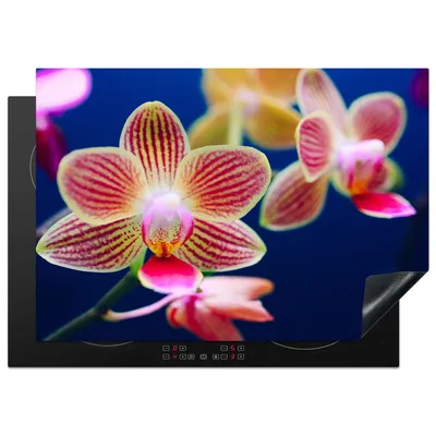 Produktbild von KitchenYeah© Herdabdeckplatte Von Orchidee , 75x52cm, Küche Deko, Glaskeramikkochfeld Herdabdeckung, Abdeckplatte fùr Kochfeld