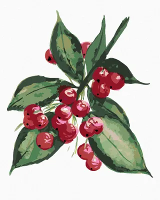Produktbild von Zuty - Malen nach Zahlen - STECHPALMENZWEIG MIT ROTEN BEEREN (ALEXANDRIA GILBERT), 40x50 cm, mit Keilrahmen (bereits gespannt)