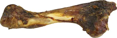 Produktbild von 200g / ca. 25 cm - Hirschknochen  - Natur mit kräftigem Wildaroma