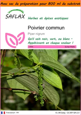 Image de SAFLAX Garden in the bag - Poivrier commun - 20 graines - Piper