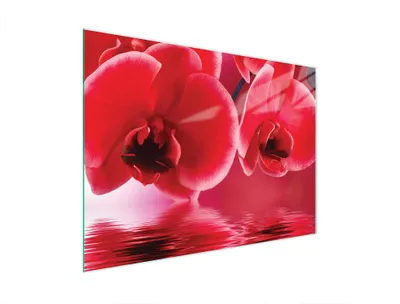 Produktbild von Glasschneidebrett 40x30 Orchidee