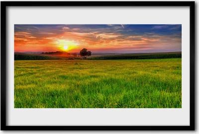 Produktbild von Bild 60x40 MDF-Rahmen Wandkunst Sun Meadow Nature