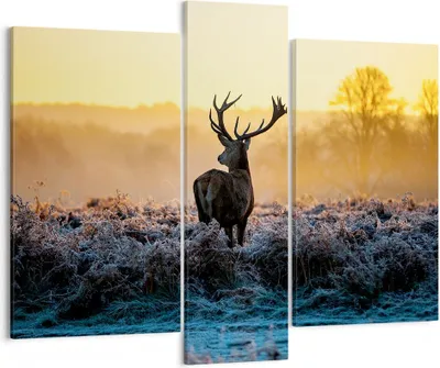 Produktbild von Bild auf Leinwand - Leinwandbild - Feld Nebel Natur Baum - 95x80cm - Wand Bild - Wanddeko - Leinwanddruck - Bilder - Kunstdruck - Wanddekoration - Leinwand bilder - Wandkunst - CB95x80-2428