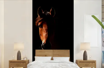 Produktbild von MuchoWow® Fototapete für Wohnzimmer oder Schlafzimmer Wandtapete Vinyl Motivtapete Pferd - Licht - Porträt - 120x240 cm - Hintergrundbild