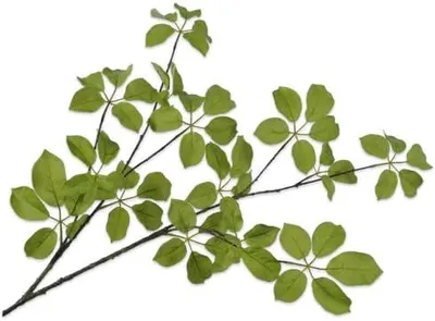 Image de Kunstblume Graszweig, vert, 120 cm, pour la décoration