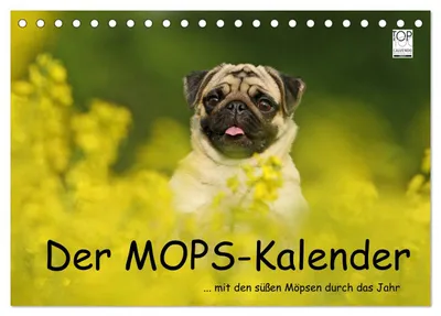 Produktbild von Der MOPS-Kalender (Tischkalender 2027 DIN A5 quer), CALVENDO Monatskalender