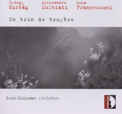 Produktbild von Gaggero/Gunnlaugsdottir/La Fauci/Moretti: Brin De Bruyere
