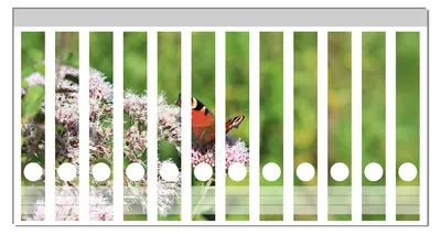 Produktbild von Wallario Ordnerrücken Sticker, selbstklebend für schmale Ordner, 12 Stück, Motiv Schmetterling auf Blüte