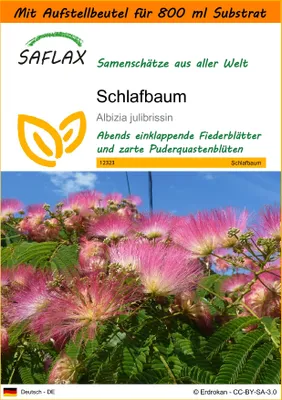 Produktbild von SAFLAX Garden in the bag - Schlafbaum - Albizia julibrissin - 50 Samen - Mit Anzuchtsubstrat im praktischen, selbst aufstellenden Beutel