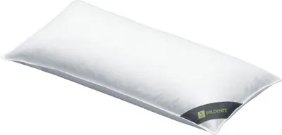 Produktbild von Spessarttraum Kissen Wildente Füllung: 70% Federn/ 30% Daunen Bezug: 100% Baumwolle Größe 40x80cm