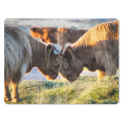 Produktbild von MuchoWow® Mauspad Mousepad Schottische Highlander - Tiere - Sonne 40x30 cm - Mousepads - Maus Mat - Pad - Mausunterlage - Anti Rutsch