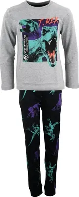 Produktbild von Jurassic World T-Rex Blue Jungen Kinder Pyjama Schlafanzug – Grau / 134/140