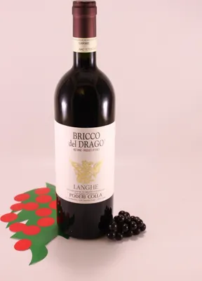 Immagine prodotto di Bricco del Drago Langhe - 2021 - Poderi Colla