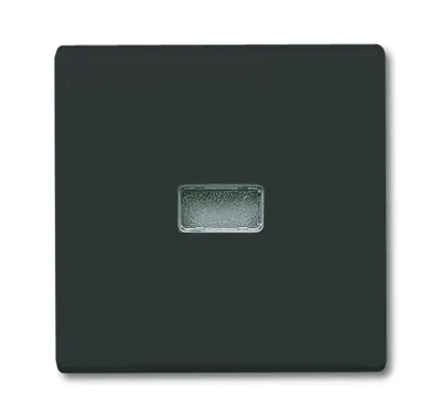 Produktbild von BUSCH JAEGER 2107-35 - Schwarz - Busch-Jaeger - 70 mm - 70 mm - 1,3 cm - 1 Stück(e)