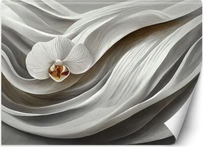 Produktbild von Vlies fototapete Weiße Orchidee und abstrakt 3D 300x210 cm Feeby Weiß inkl. Kleber einfache Montage