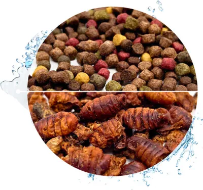 Produktbild von WTS Koifutter 5-Sorten Mix mit Spirulina - 15 Liter + 1 Liter Seidenraupen 6 mm