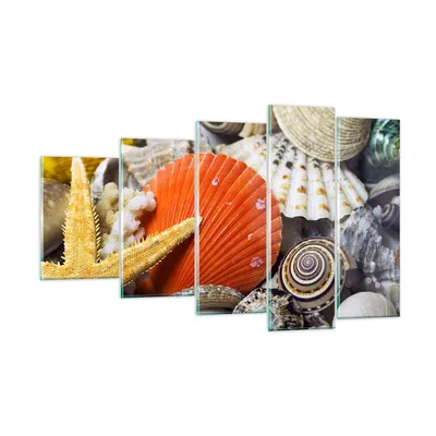 Produktbild von Bilder auf glas - Seashell Meer Strand Sand - 100x60cm - Glasbilder - Wandbilder - Kunstdruck - zum Aufhängen bereit - Wanddekoration aus Glas - Glas Bilder - Wandbild auf Glas - GEG100x60-0456