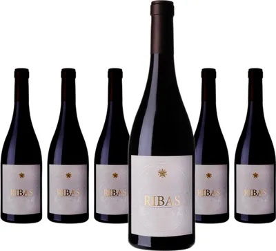 Produktbild von 6 x Bodegas Ribas Ribas Negre